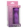 CALEXOTICS - PRIMER MASAJEADOR RECARGABLE 10 VIBRACIONES MORADO