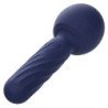 CALEXOTICS - MASAJEADOR DE SEDUCCIÓN CHARISMA 12 FUNCIONES 17,75 CM X 6,25 CM MORADO