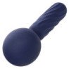 CALEXOTICS - MASAJEADOR DE SEDUCCIÓN CHARISMA 12 FUNCIONES 17,75 CM X 6,25 CM MORADO