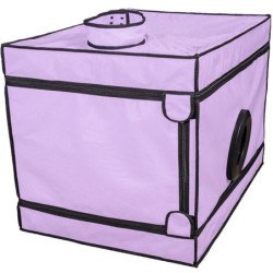 SECRET DOME - KINK CLUB LA NICHE CABINA  MORADO