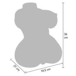 HIDDEN DESIRE - JUICY DOUBLE D MASTURBADOR VAGINA Y ANO 5 KG