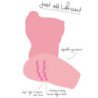 DESEO OCULTO - GRAN ZORRA UNIVERSITARIA MASTURBADORA FEMENINA TORSO 15 KG