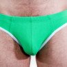 QUEMA - 022 RESBALÓN VERDE L