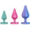 ROMP - LUSTER ANAL TRAINING KIT S/M/L WITH FLOWER-SHAPED BASE