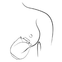 ROMP - HERRAMIENTA DE SUCCIÓN CLITORAL CON FORMA DE ROSA