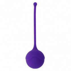 INTENSO - KISHA FIT ONE...