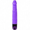 BAILE - VIBRATOR MULTISPEED 21.5 CM MORADO