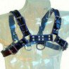 LEATHER BODY - ARNES CUERO AZUL Y NEGRO CHEST BULLDOG