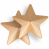 COQUETTE CHIC DESIRE - CUBREPEZONES GOLDEN STARS