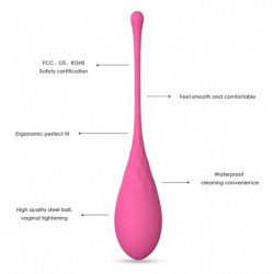 LESLIE - JUEGO DE ENTRENAMIENTO DE MÚSCULOS PÉLVICOS KEGEL FIT CON 6 PESAS