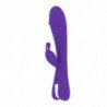 MR BOSS - AITOR RABBIT + CONTROL REMOTO WATCHME