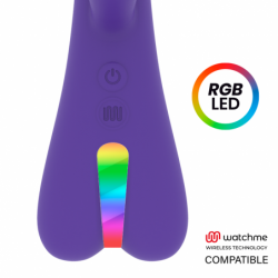 MR BOSS - AITOR RABBIT + CONTROL REMOTO WATCHME