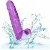 CALEXOTICS - DILDO TAMAÑO QUEEN MORADO 15,3 CM