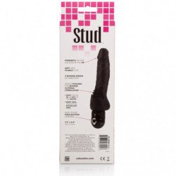 CALEXOTICS - VIBRADOR CLÍTERIZ NEGRO POWER STUD