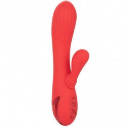 CALEXOTICS - PALISADES ROJO...