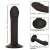 CALEXOTICS - TAPON ANAL CURVO