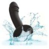 CALEXOTICS - TAPON ANAL CURVO