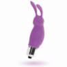 INTENSO - RABBIT ROGER LILAC