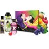 SHUNGA - COLECCIÓN KIT BESOS FRUTALES