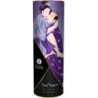 SHUNGA - KIT DE COLECCIÓN DE PLACERES CARNALES