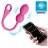 BOLAS VIBRATORIAS RECARGABLES ROSAS DE AMOR PRECIOSO - ELVIRA