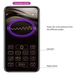 PRETTY LOVE - BAIRD PUNTO G 12 VIBRACIONES RECARGABLE APLICACIÓN LILA