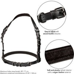 CALEXOTICS - ARNÉS CON HEBILLA DE CABALLO EUPHORIA DE TALLA GRANDE NEGRO