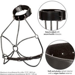 CALEXOTICS - ARNESCO DE COLLAR MULTICADENA EUPHORIA DE TALLA GRANDE