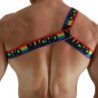 MACHO - ARNES ROMANO PRIDE S/M